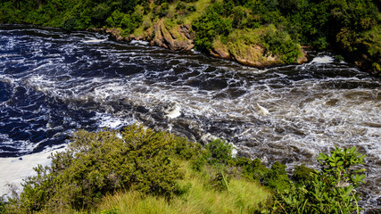 The Nile after the Murchison Falls, also known as Kabalega Falls, is a waterfall between Lake Kyoga and Lake Albert on the White Nile River in Uganda. Currently threatened by oil drilling companies