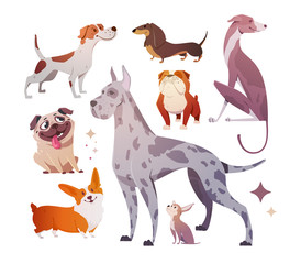 Cartoon dogs of different breeds and sizes. - 181530051