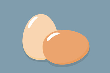 Two eggs brown and white eggs. Flat icon. Vector