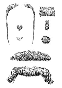 Moustache illustration, drawing, engraving, ink, line art, vector