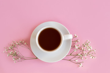 Gypsophila on a pink background
