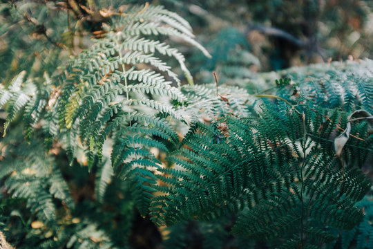  Parque Natural do Alvao