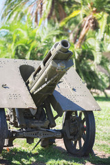 Old war cannon in the forest.