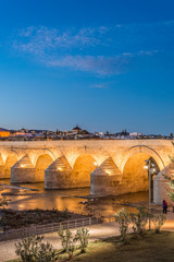 Obraz premium Roman bridge in Cordoba, Andalusia, southern Spain.