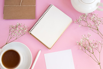 Gypsophila on a pink background
