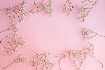 Obraz na płótnie Canvas Gypsophila on a pink background 