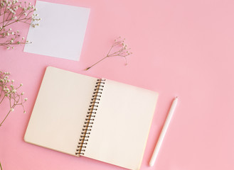 Gypsophila on a pink background
