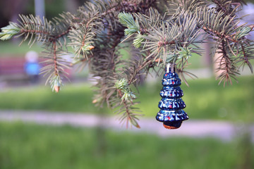 Christmas toy  on a fir branch