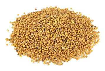 Mustard seeds isolated on white background