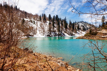 Frozen crystal blue lake and snowy woodland in winter Georgia. Shaori lake, Racha. Caucasus. Colorful vibrant outdoors