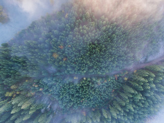 Schwarzwald von oben