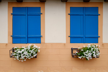 Zwei gechlossene Fenster mit Blumenschmuck
