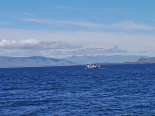 Boot schippert vor Island
