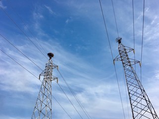Energy Distribution towers and wires, Network Electricity poles blue sky with clouds background