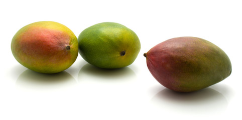 Mango isolated on white background three common.