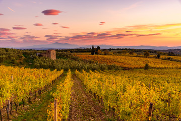 Panoramic view of the Chianti region in Tuscany, Italy. with an abandoned farmhouse. Autumn season.