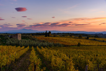 Panoramic view of the Chianti region in Tuscany, Italy. with an abandoned farmhouse. Autumn season.