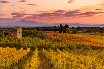 Obraz premium Panoramic view of the Chianti region in Tuscany, Italy. with an abandoned farmhouse. Autumn season.