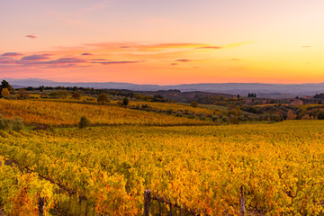 Panoramic view of the Chianti region in Tuscany, Italy. Autumn season.