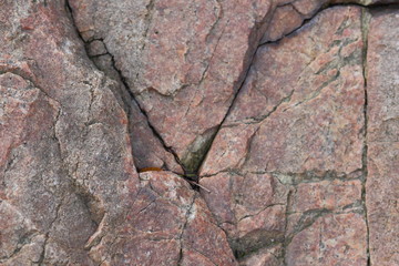 Granite background, stone texture, natural pattern, abstract background, highly detailed texture, minimalism, gray quartz background, granite texture for designer, extraterrestrial background