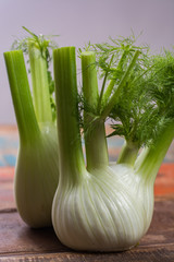 Fresh raw organic Florence fennel bulbs, close up