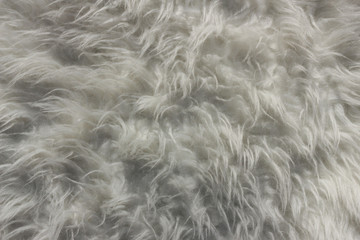 Fur Texture
