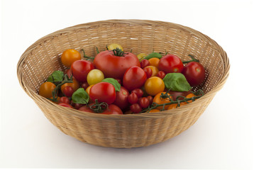 Tomatoes in various colours and size