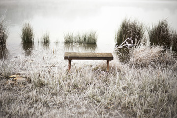 Frosty fog in forest lake winter snow