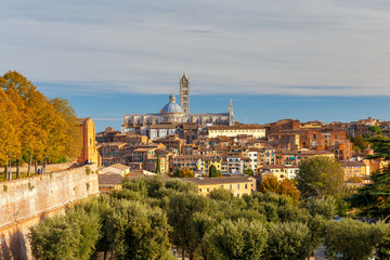 Fototapeta na wymiar Siena. View of the old city district.