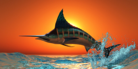 Atlantic Blue Marlin - An Atlantic Blue Marlin jumps out of the blue ocean in a spectacular leap at sunset.