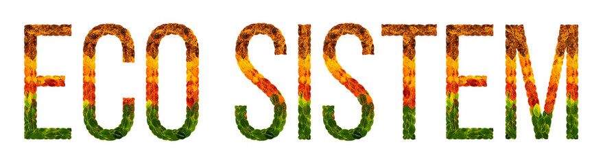 word eco sistem written with leaves white isolated background, banner for printing, creative illustration of colored leaves.