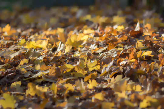 Soft dreamy background image of autumn leaves. Leaf fall.
