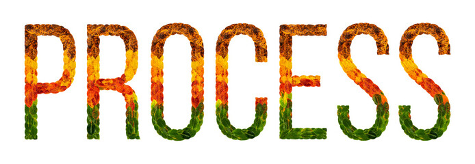 word process written with leaves white isolated background, banner for printing, creative illustration of colored leaves.
