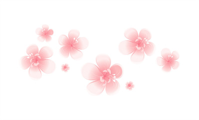 Fototapeta na wymiar Pink flowers isolated on white background. Apple-tree flowers. Cherry blossom. Vector