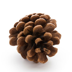 Christmas pine cone on white background.
