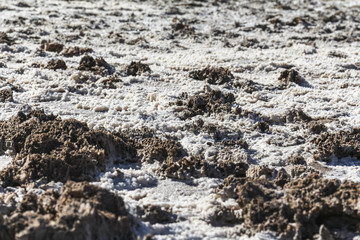 White salt crusts at Badwater Basin, Death Valley