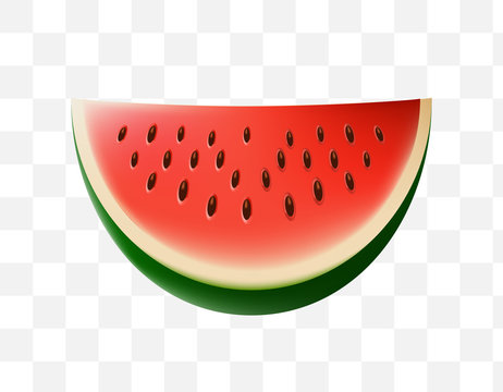 Cute Watermelon Icon on Transparent Background . Isolated Vector Illustration 