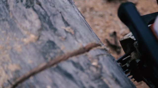 Close up utting through wood with chainsaw