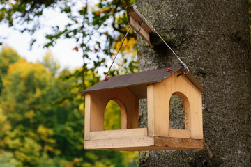 Bird feeders. Wooden racks for birds on a tree.