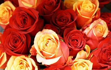 close up on colorful rose in a bouquet