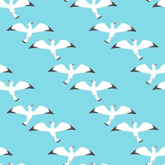 Flat atlantic sea birds seamless pattern background. Vector flat illustration. For your web design.