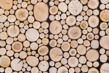 Pieces of round teak wood stump background