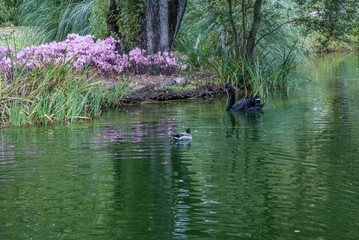 Caldas da Rainha, Portugal