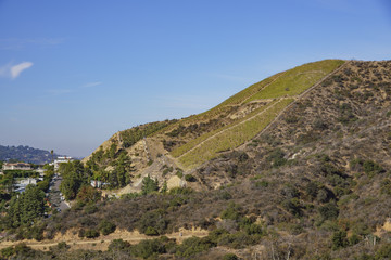 Fototapeta na wymiar Beautiful hill of grape vineyard