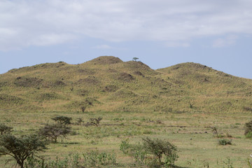 Arusha Rolling Hills