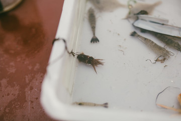 Impressionen aus Nordfriesland