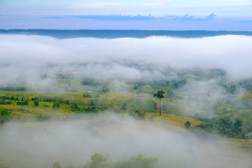 Fog in forest with morning sunrise at Khao Takhian Ngo View Point at Khao-kho Phetchabun,Thailand