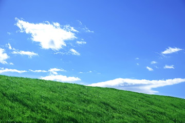 青空と草原