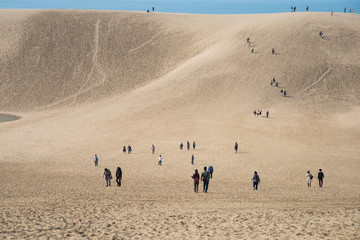 Fototapeta na wymiar Tottori Sand Dunes, Japan