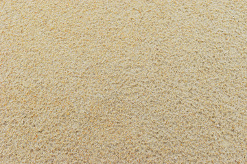 Sand Background beach in the summer